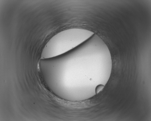 X0000078310042200611031058