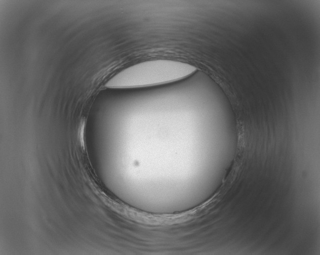 X0000078310047200611031058