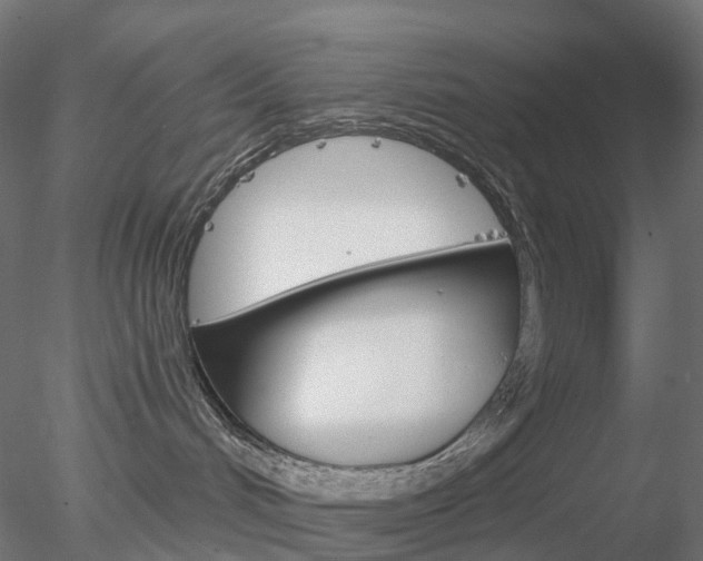 X0000078310048200611031058