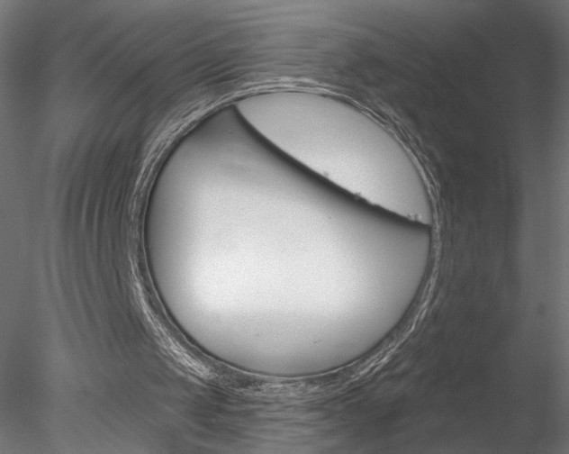 X0000078310049200611031057