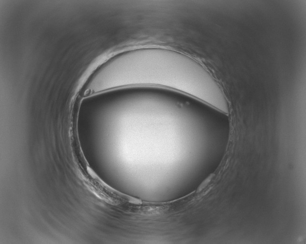 X0000078310056200611031058