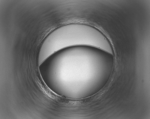 X0000078310057200611031058