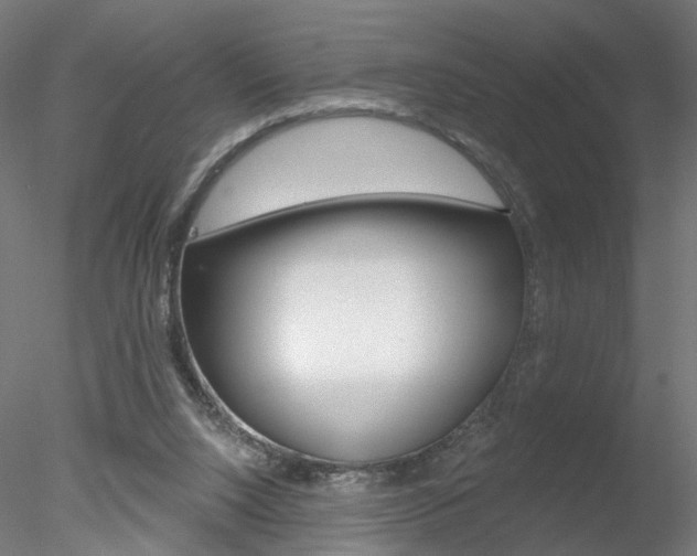 X0000078310064200611031058