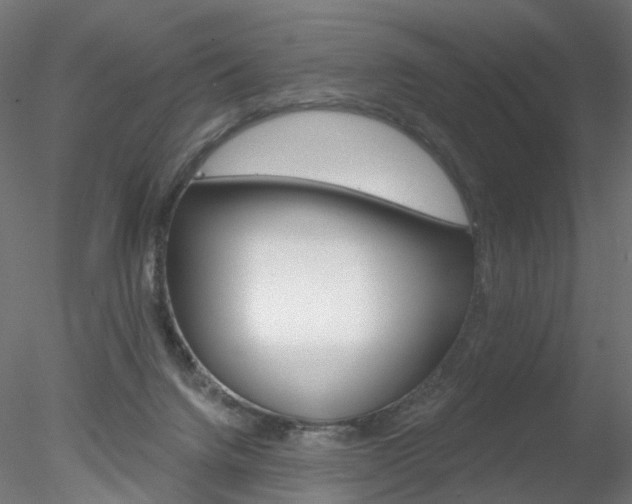 X0000078310072200611031058