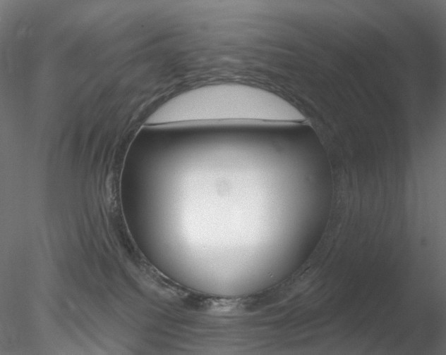 X0000078310088200611031058