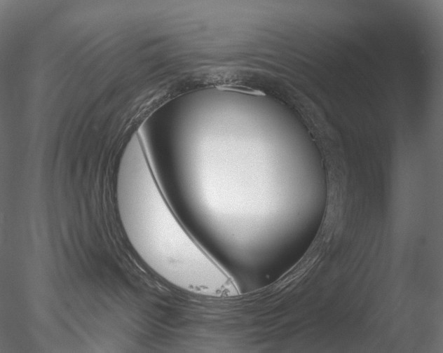 X0000078310096200611031058