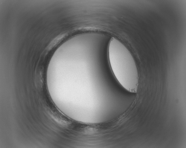 X0000078310116200611031057