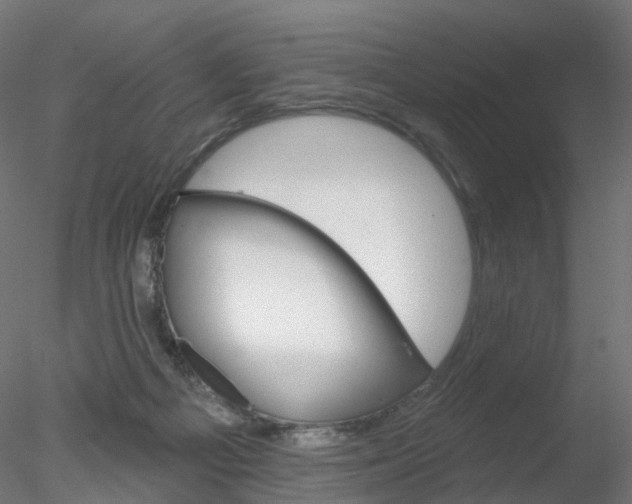 X0000078310121200611031057