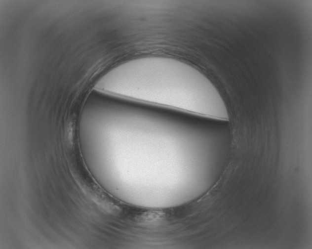 X0000078310124200611031057
