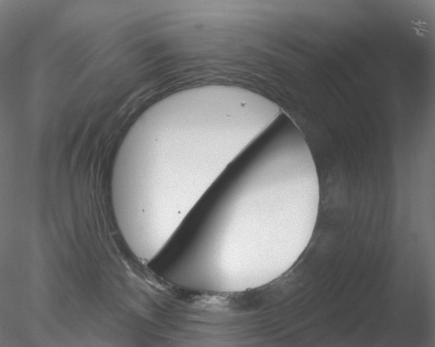 X0000078310140200611031057