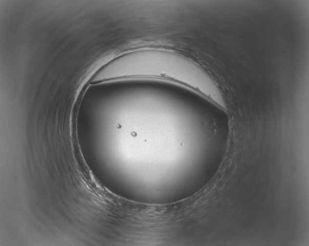 X0000078310148200611031056