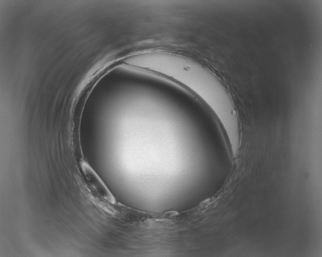 X0000078310150200611031056