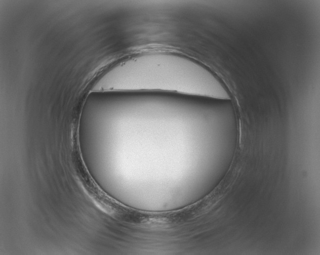 X0000078310157200611031056