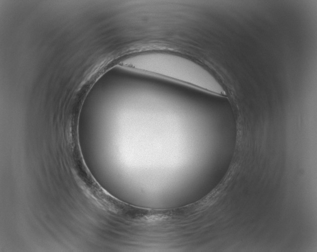 X0000078310158200611031056