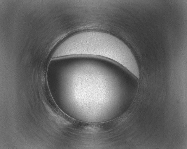 X0000078310164200611031056