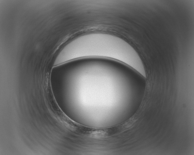 X0000078310168200611031056