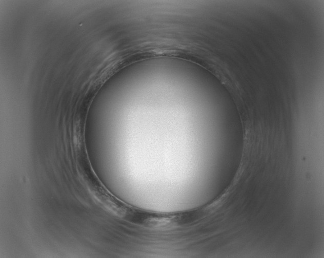 X0000078310170200611031056