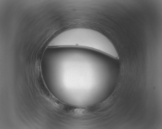 X0000078310172200611031056