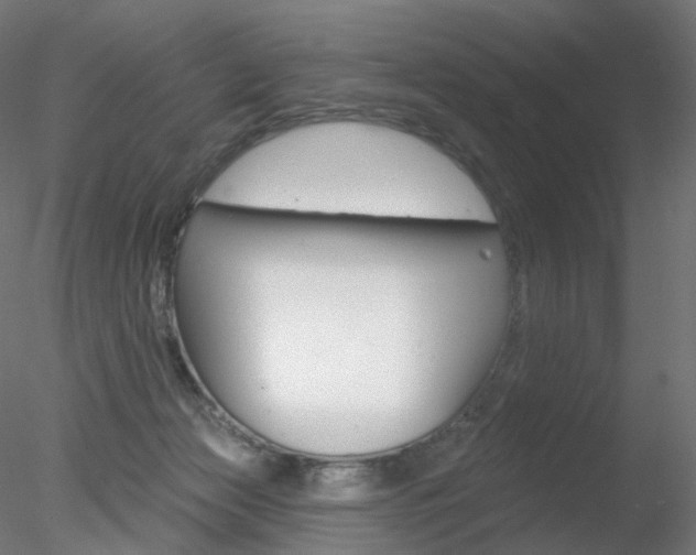 X0000078310173200611031056