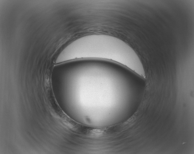X0000078310176200611031056