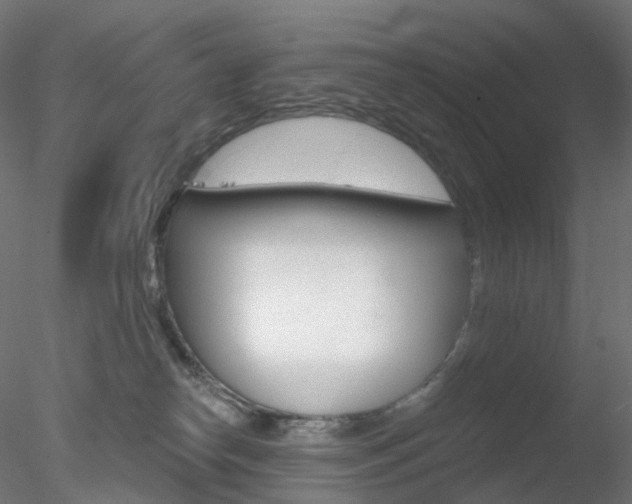 X0000078310182200611031056