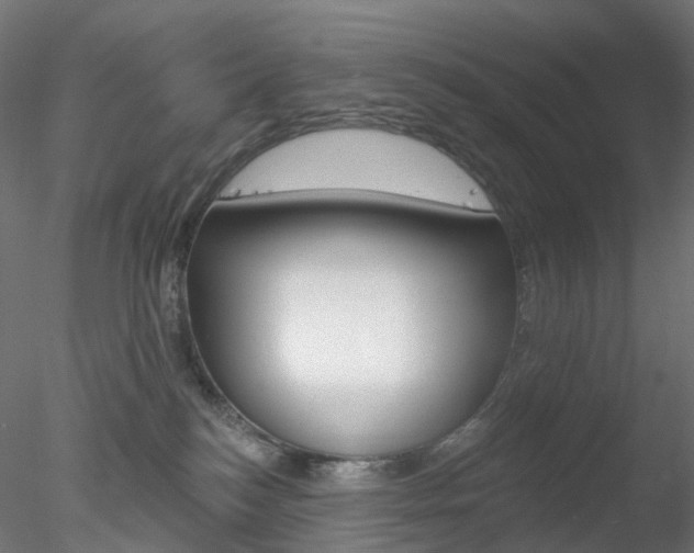 X0000078310184200611031056