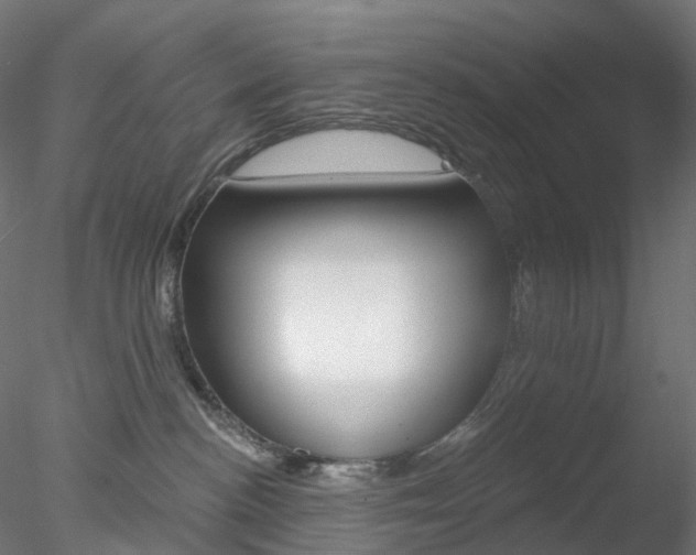 X0000078310188200611031057