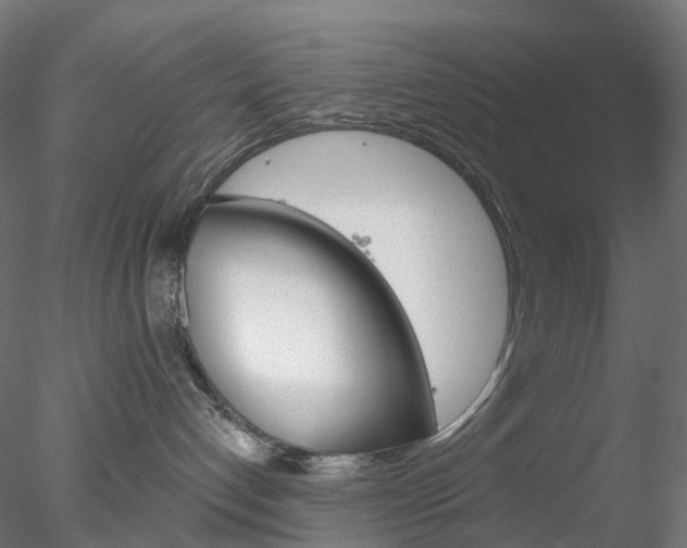 X0000078310192200611031057