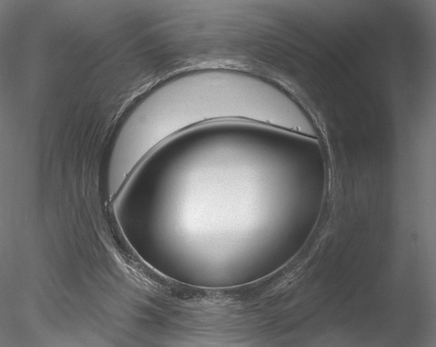 X0000078310201200611031056