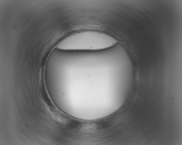 X0000078310206200611031056