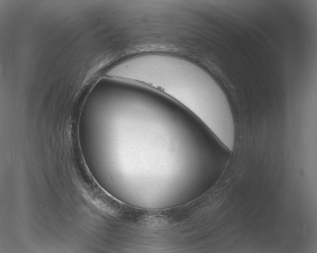 X0000078310207200611031056