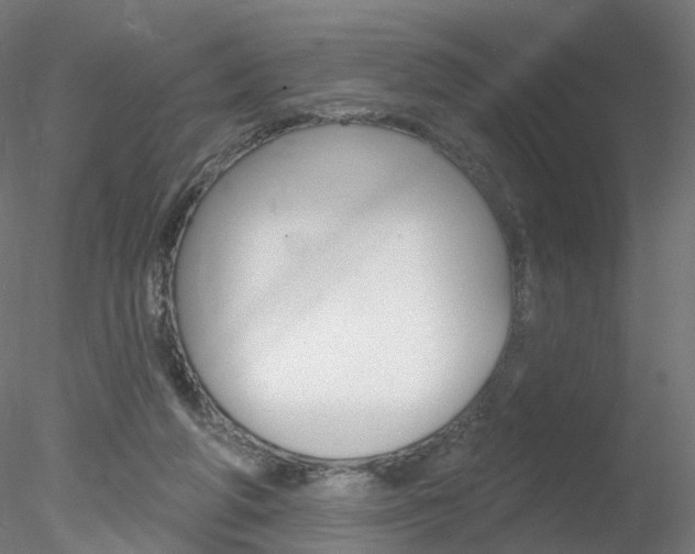 X0000078310210200611031055