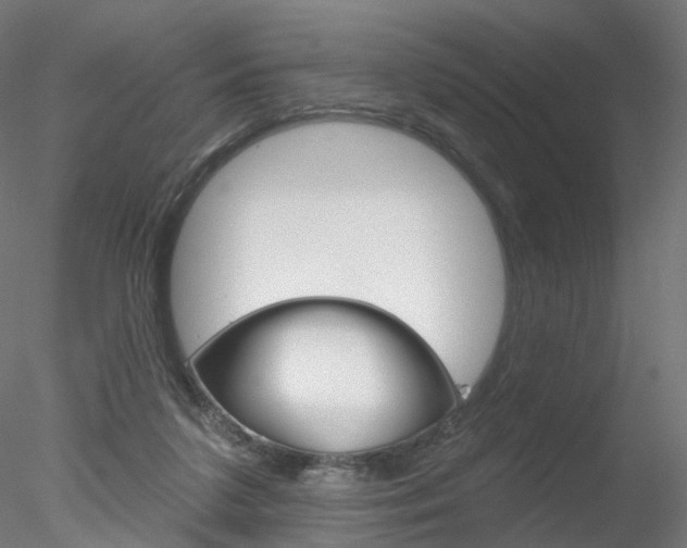 X0000078310211200611031055
