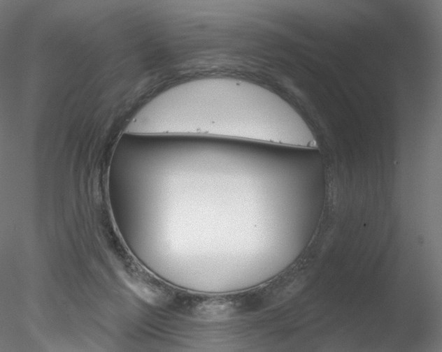 X0000078310213200611031055