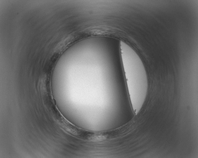 X0000078310217200611031055