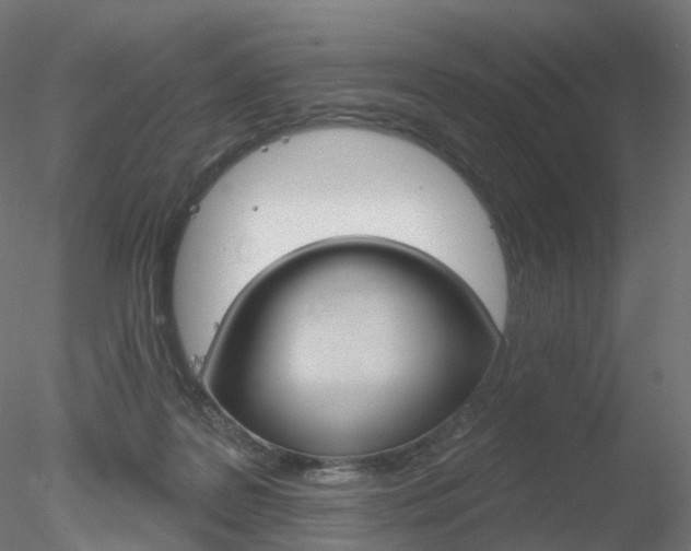 X0000078310219200611031055