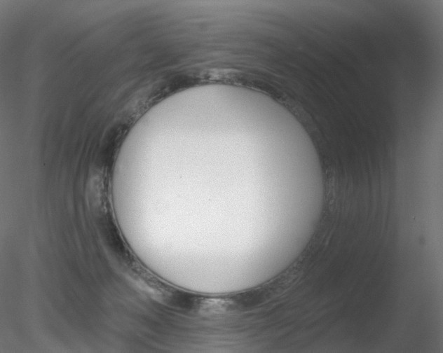 X0000078310222200611031055