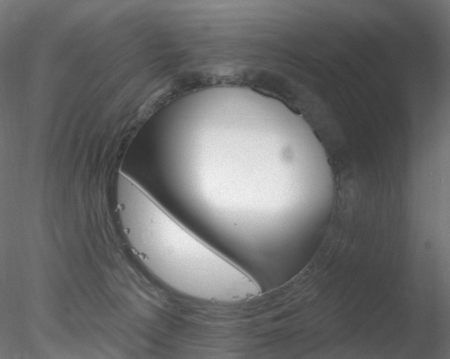 X0000078310225200611031055