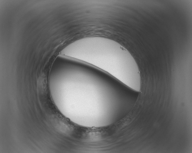 X0000078310228200611031055