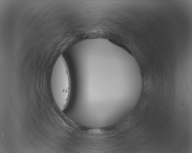 X0000078310231200611031055