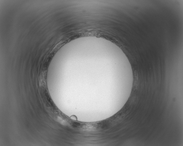 X0000078310236200611031055