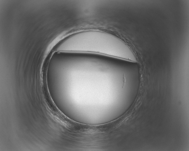 X0000078310246200611031054