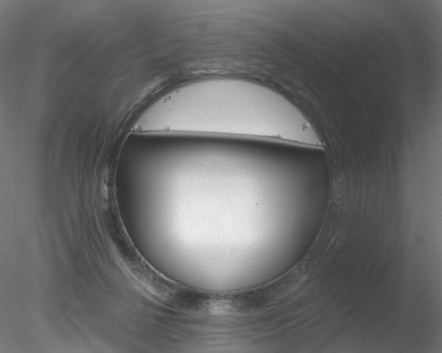 X0000078310264200611031055