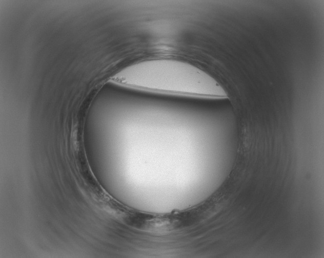 X0000078310267200611031055