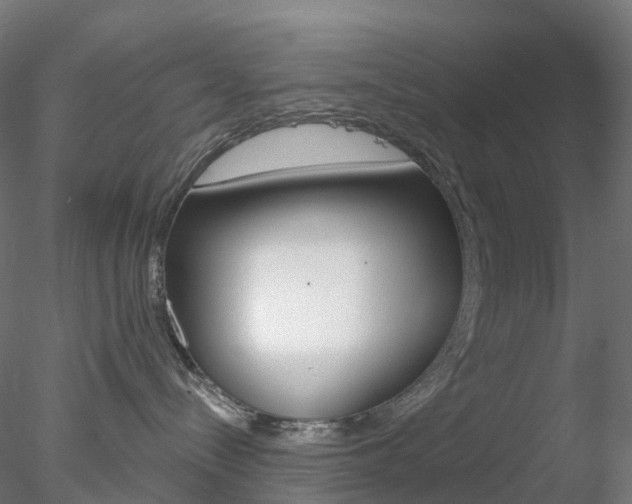 X0000078310288200611031055