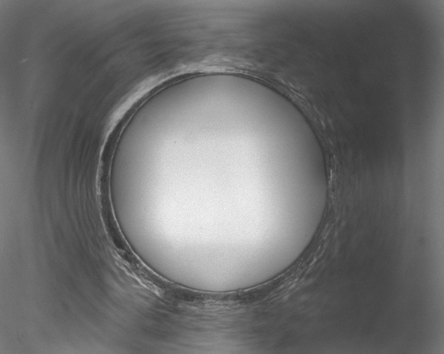 X0000078310292200611031054