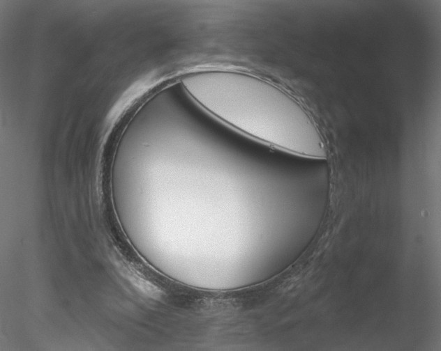 X0000078310296200611031054