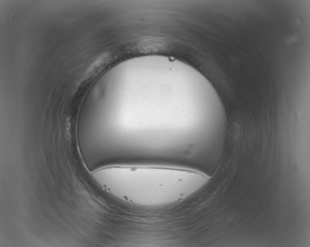 X0000078310308200611031054