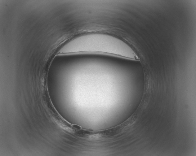 X0000078310309200611031054