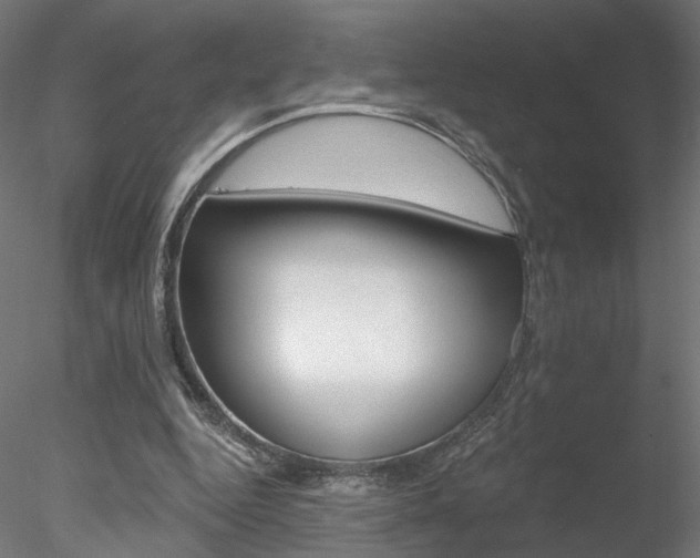 X0000078310344200611031053